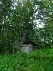 Парус - 56
