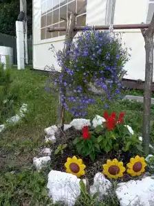 Бояринцево - 10