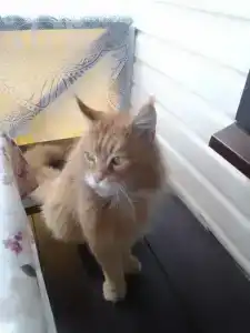 Четыре сезона - 60