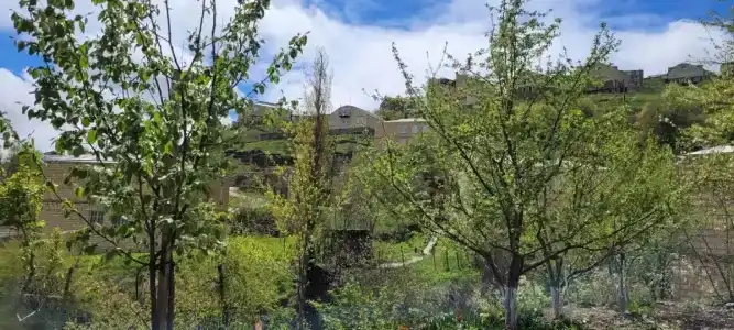 Кубачи-УЮТ - 15