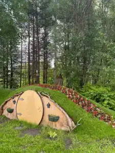 Кедровый Лог - 41