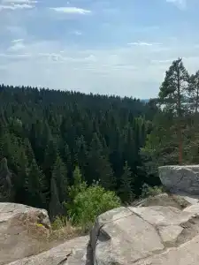 Хутор Нестора - 38