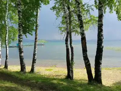 Лето - 22