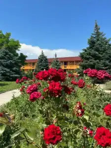 Виста - 9