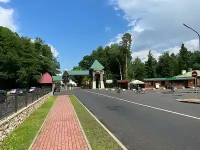 Беловежская пуща. №2