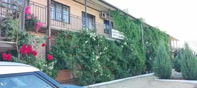 Новый - 20