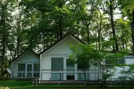 Золотой ключик - 12