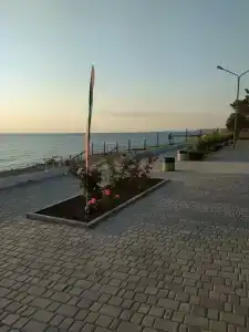 Дом друзей - 24