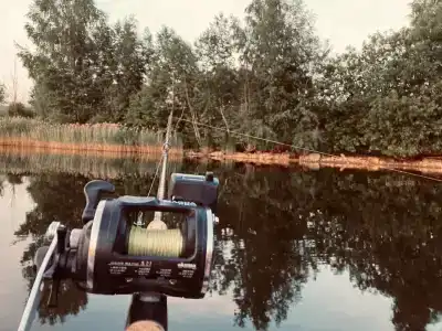 Соколино - 28