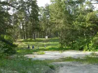Солнечный мыс - 8