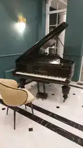 Заречный SGH - 32