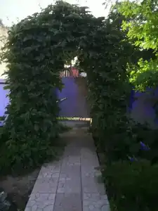 Райский уголок - 11
