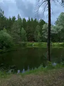 Караканский бор - 9