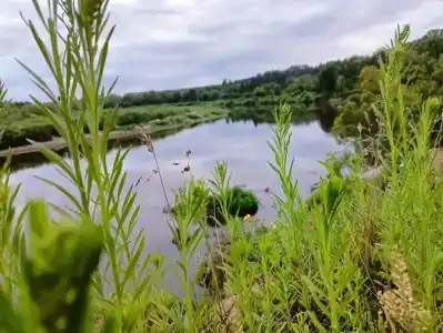 Сура - 17