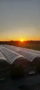 Гектария - 47