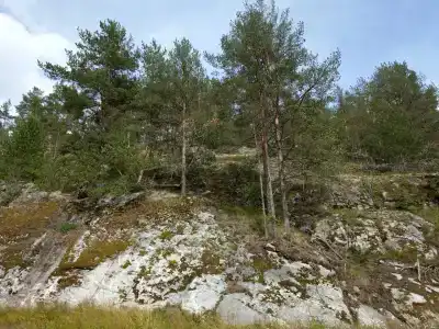 Вареновка - 80