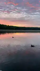 База отдыха на воде Оланга - 63