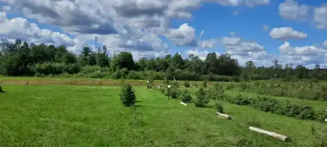 Эко-усадьба Никольское - 36