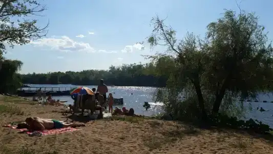 Бодрость - 33