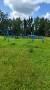 Берёзка - 45
