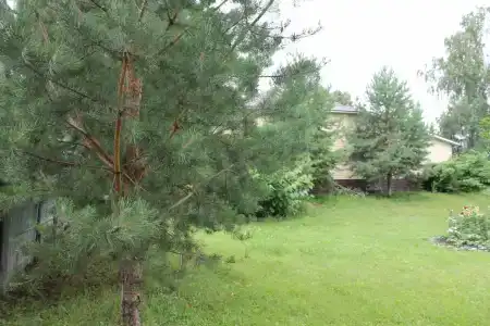 Усадьба - 19