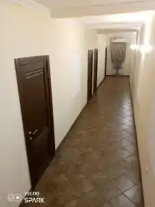 Лесной двор - 2