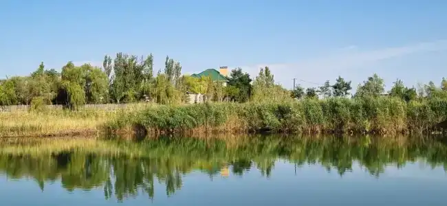 У Михалыча - 37