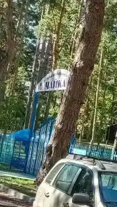 Сокол - 6