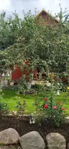 Волшебный Сад - 67