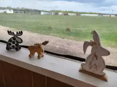 12 Дубов - 30