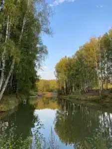 Большая Медведица - 5