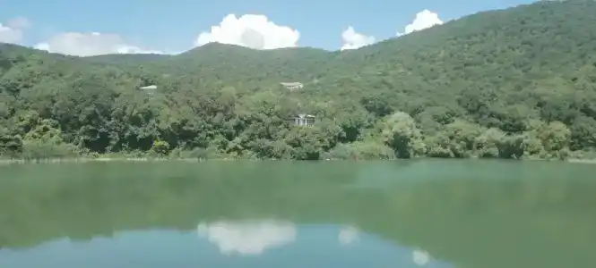 Лиманчик - 46