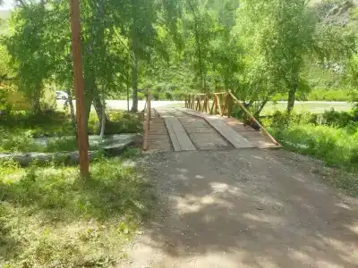 Алтын - 14