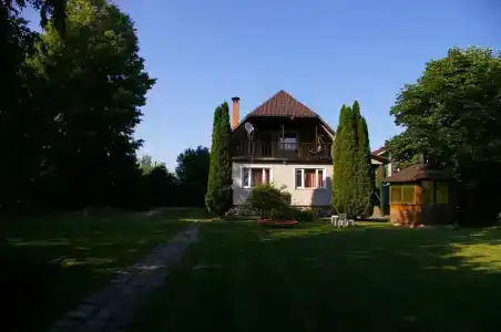 Рузмарин - 18