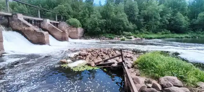 Оредеж - 52