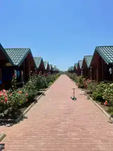 Русалочка - 42