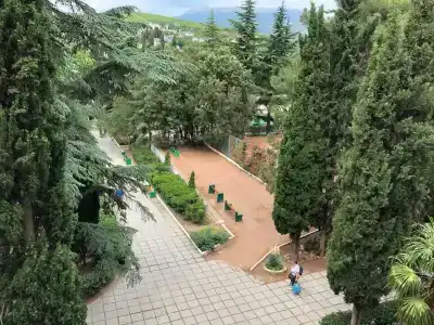 Магнолия - 0