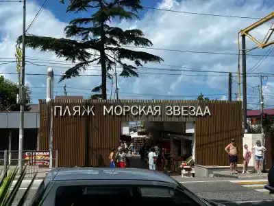 Кардинал - 20