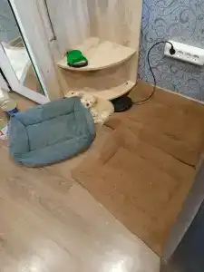 Каспий-2 - 20
