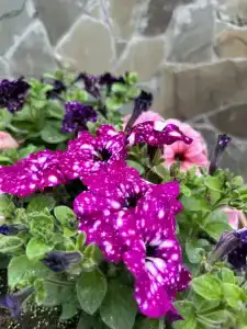 Рыбное место - 40