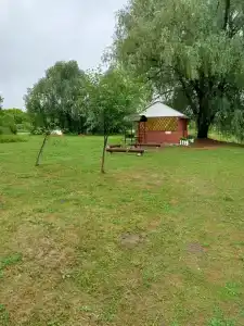 Кувшинка - 12