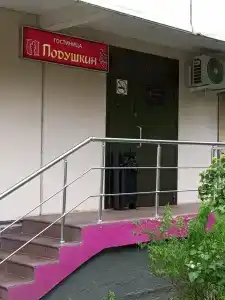Подушкин Дундича - 10