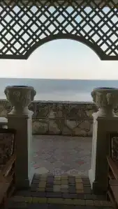 Тарпанчи - 64