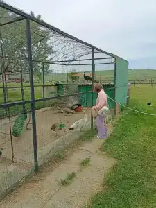 Страусиная ферма Экзотик - 5