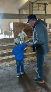 Мурманская страусиная ферма - 81