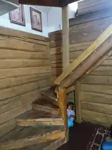 Золотая рыбка - 51