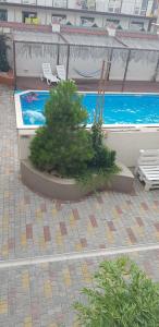 Meduza club - 38