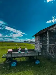 Александровский спас - 44