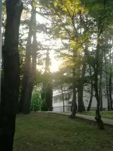 Бетта - 5