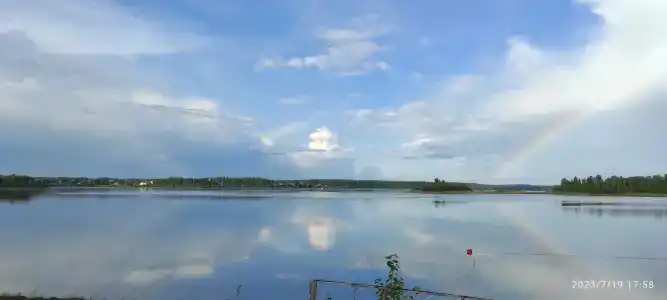 Чайка - 1